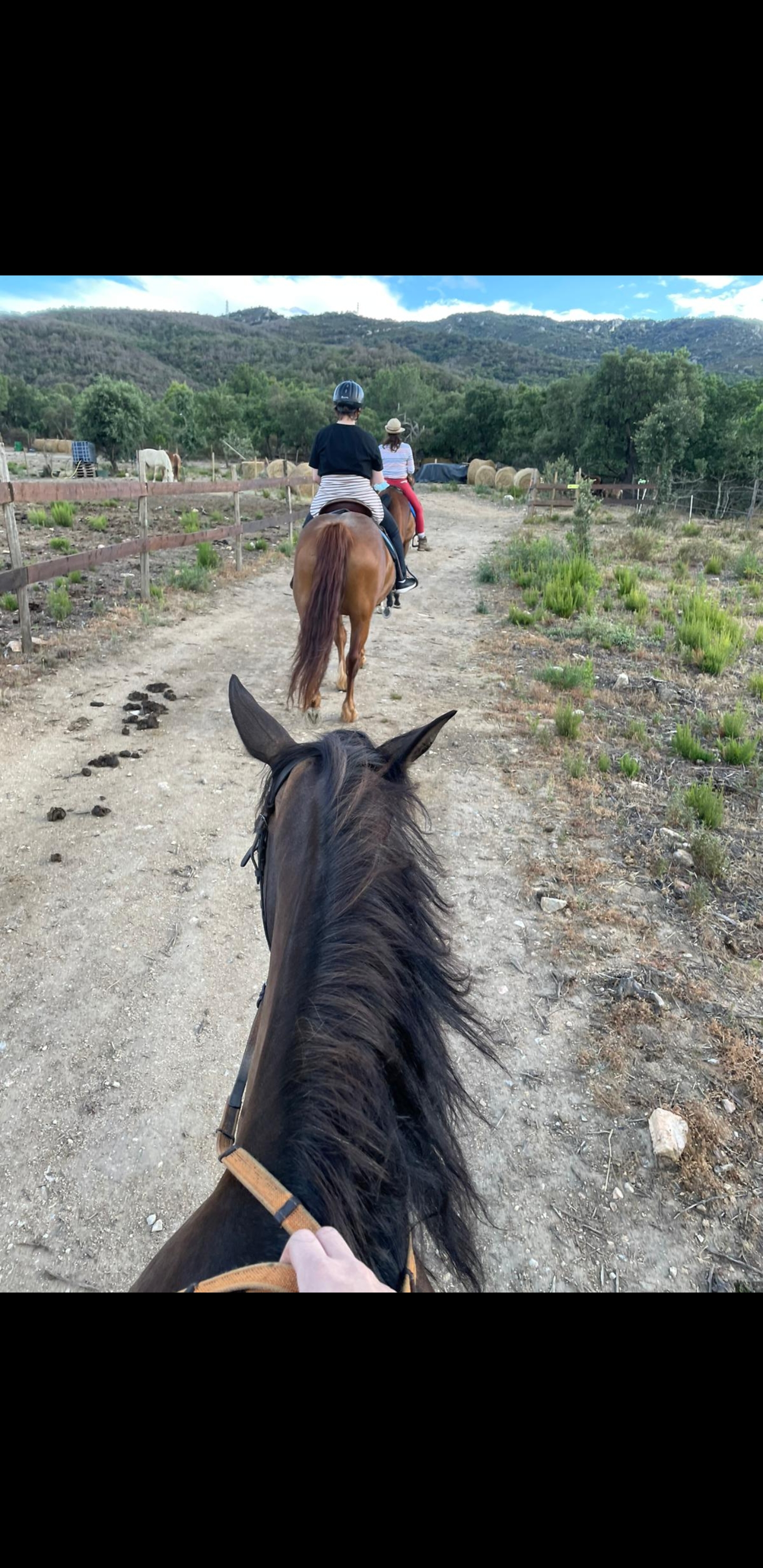 Photo n° 3 de l'avis de Laury.t fait le 13/07/2021 à 20:04