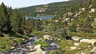 Parc naturel régional des Pyrénées catalanes à Olette