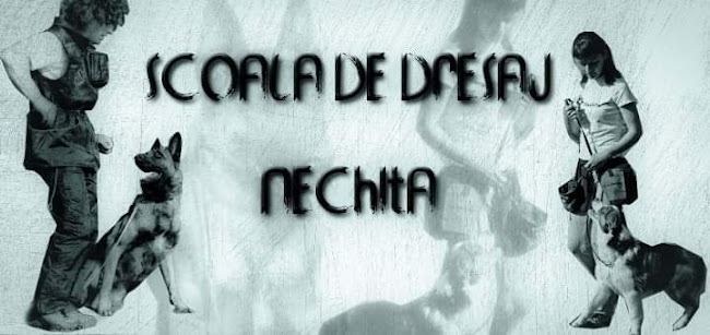 Scoala de Dresaj Nechita