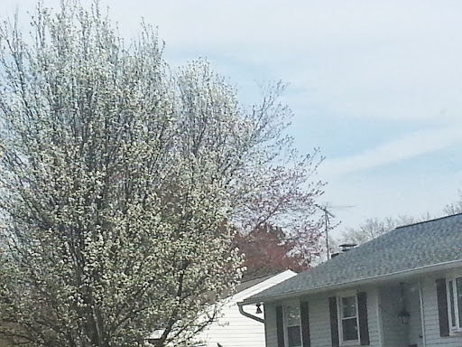 Shopping Mall «Reisterstown Shopping Center», reviews and photos, 11961 Reisterstown Rd, Reisterstown, MD 21136, USA