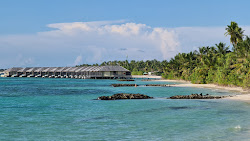 Dhigurah Plajı'in fotoğrafı - rahatlamayı sevenler arasında popüler bir yer