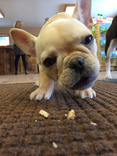 Pet Supply Store «Pets Naturally», reviews and photos, 1420 W South Airport Rd, Traverse City, MI 49686, USA