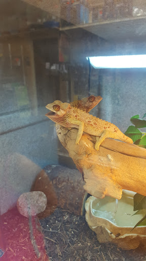 Pet Store «V.I. Pets», reviews and photos, 11975 E Lakewood Blvd, Holland, MI 49424, USA