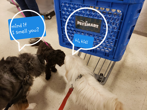Pet Supply Store «PetSmart», reviews and photos, 8105 Moores Ln Ste 1300, Brentwood, TN 37027, USA