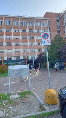 Ospedale di Vizzolo Predabissi Via Pandina, 1, 20077 Vizzolo Predabissi MI, Italia