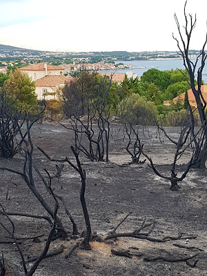 Chastel Marc à Bouzigues