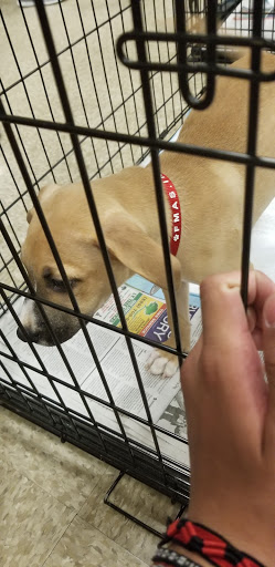 Pet Supply Store «PetSmart», reviews and photos, 1225 Industrial Rd, San Carlos, CA 94070, USA