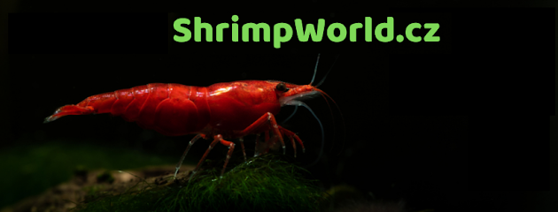 ShrimpWorld.cz