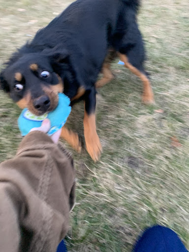 Pet Supply Store «Wags & Whiskers Pet Food, Supplies, & Grooming», reviews and photos, 1603 Losey Blvd S, La Crosse, WI 54601, USA