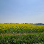 Photo n°1 de l'avis de sara.c fait le 07/04/2024 à 07:22 sur le  Osteria Alle Vigne à Ca' Tron