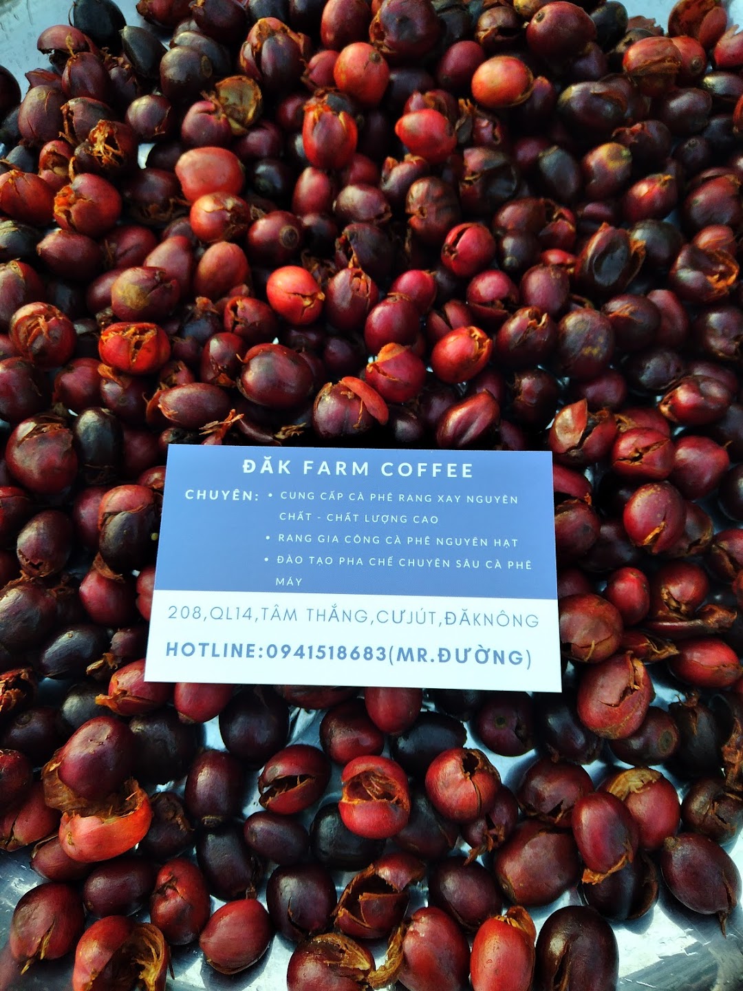 Đăk Farm Coffee