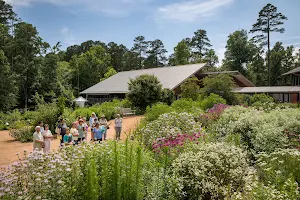 North Carolina Botanical Garden image