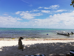 Foto von Casa Cenote beach mit etwas sauber Sauberkeitsgrad