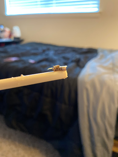 Sandwich Shop «Panera Bread», reviews and photos, 1900 Preston Rd, Plano, TX 75093, USA