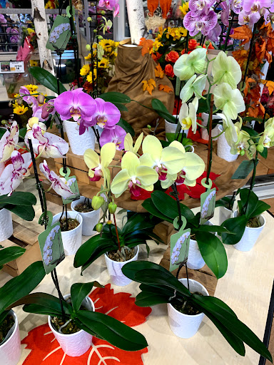 Shopping Mall «Golden Acres Shopping Center», reviews and photos, Oak Tree, South Plainfield, NJ 07080, USA