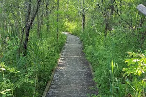 Butternut Creek Trail image