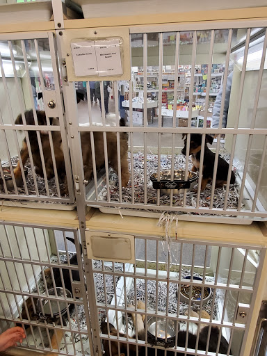 Pet Store «Back To Nature Pets & Grooming», reviews and photos, 110 N Dupont Hwy, New Castle, DE 19720, USA