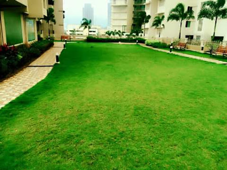 Google Maps image 14