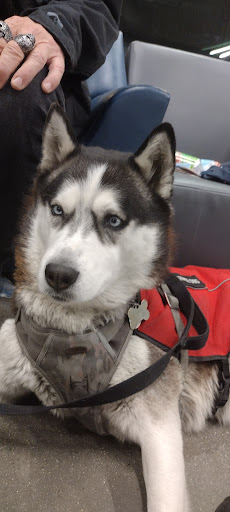 Homeless Service «The Road Home», reviews and photos