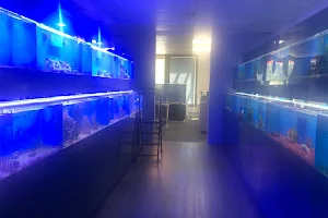 Ultimate Aquarium image