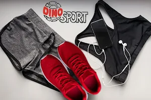 Dino Sport image