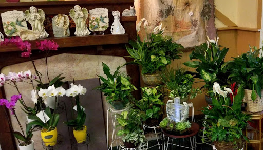 Florist «Sunshine Flowers», reviews and photos, 6230 Stumph Rd, Parma Heights, OH 44130, USA