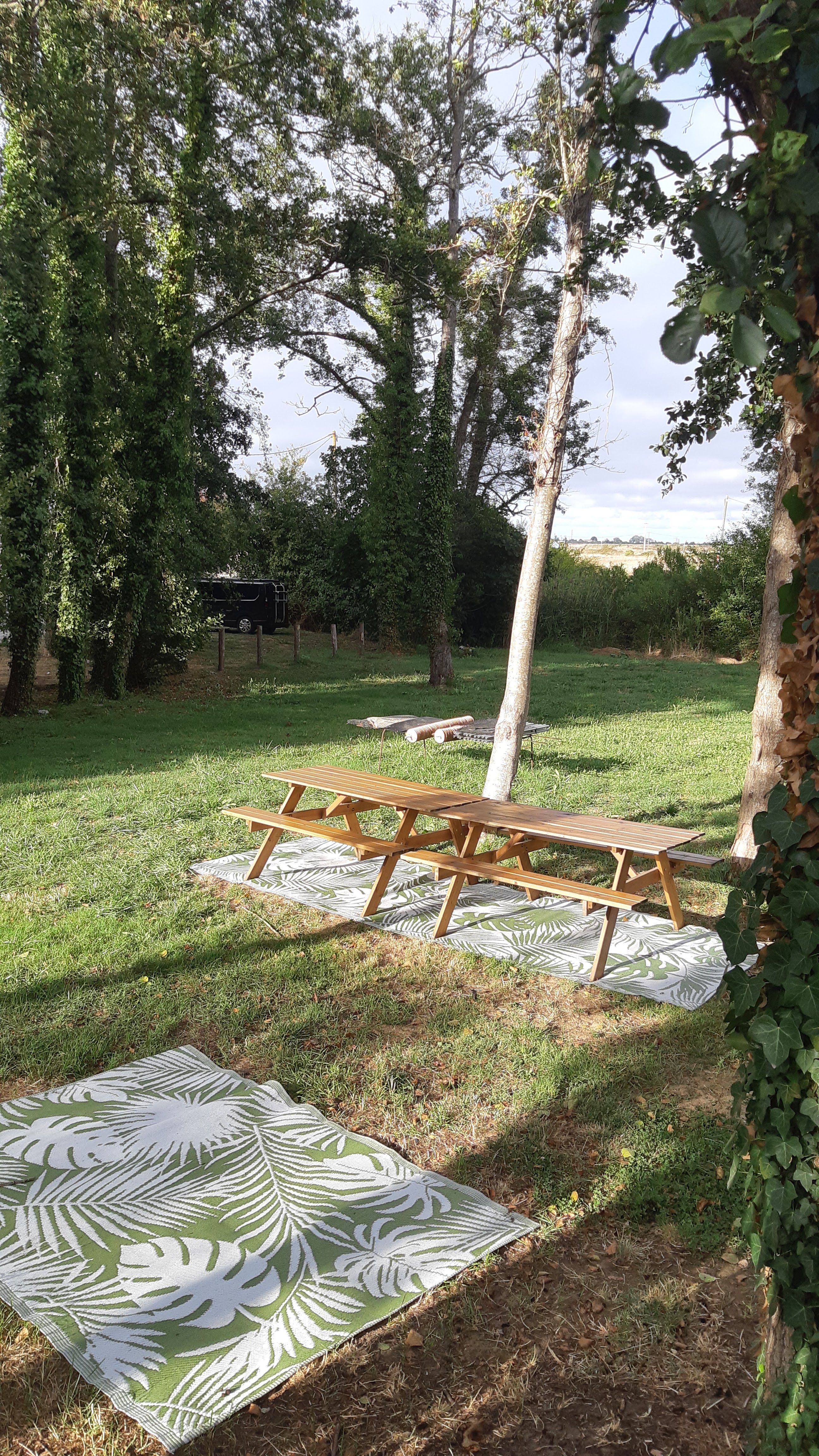 Photo n° 2 de l'avis de Murielle.1 fait le 22/08/2022 à 18:39