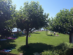 Strandbad Rostele'in fotoğrafı çok temiz temizlik seviyesi ile