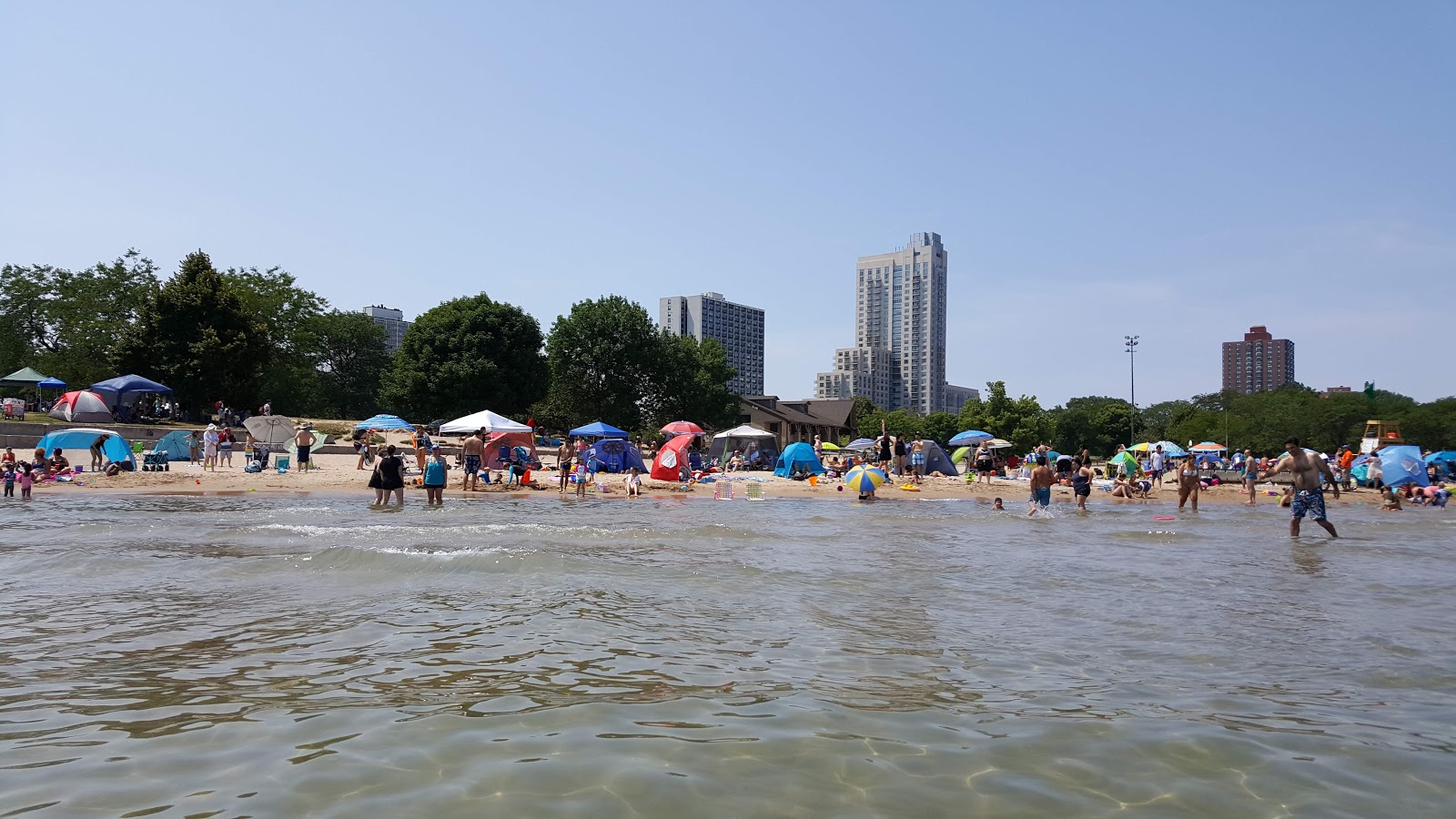 Foster Beach photo #8