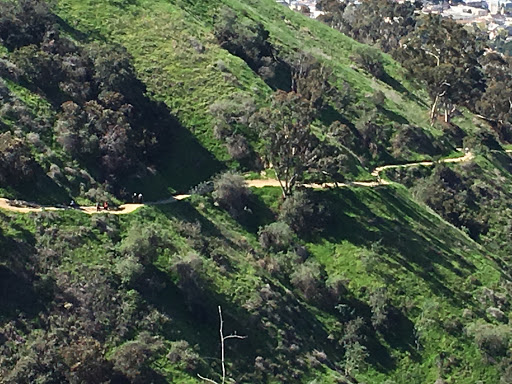 Hiking Area «Whittier Turnbull Canyon Hiking Trail», reviews and photos, Turnbull Canyon Rd, Whittier, CA 90601, USA