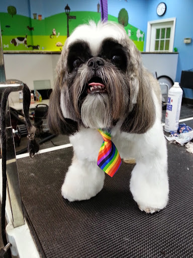 Pet Store «Canine Carousel», reviews and photos, 43135 Broadlands Center Plaza #129, Ashburn, VA 20148, USA