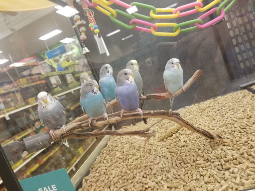 Pet Supply Store «PetSmart», reviews and photos, 1345 Wendy Ct, Spring Hill, FL 34607, USA