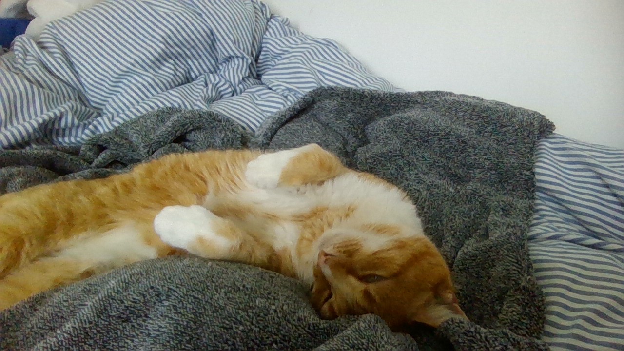 Photo n° 1 de l'avis de Emilien.o fait le 02/06/2019 à 17:59