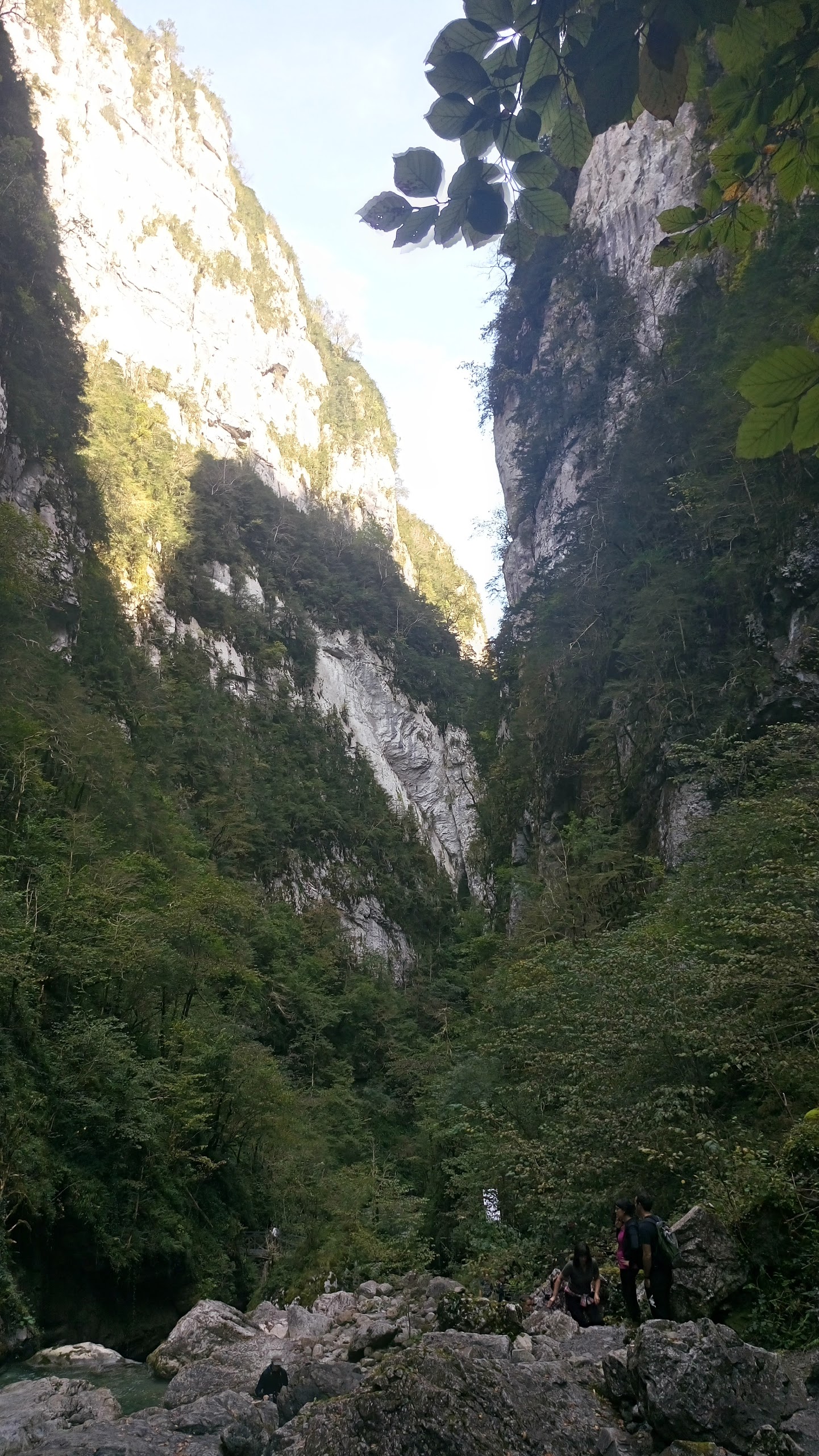 Photo n° 11 de l'avis de marques.a fait le 25/09/2017 à 16:38
