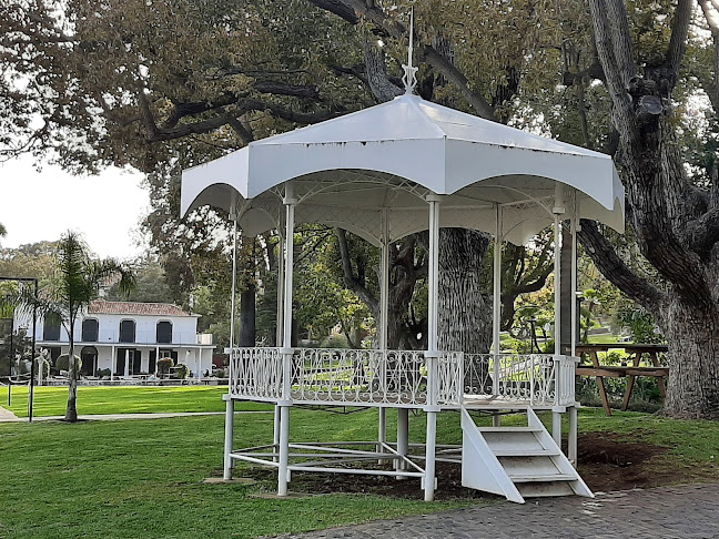 Jardim Quinta Magnólia - Funchal