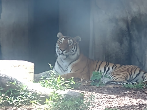 Aquarium «Toledo Zoo Aquarium», reviews and photos, 2700 Broadway St, Toledo, OH 43609, USA