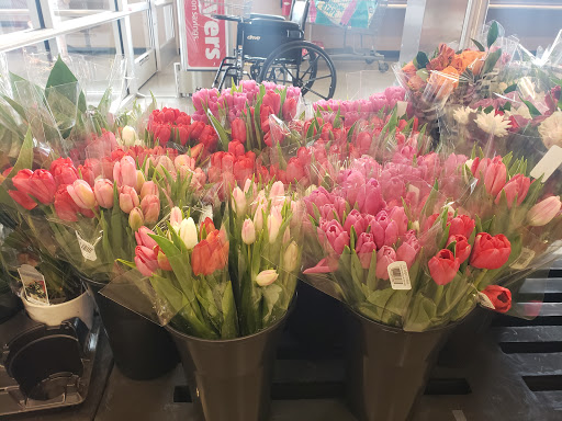 Supermarket «ALDI», reviews and photos, 333 Ave K SW, Winter Haven, FL 33880, USA