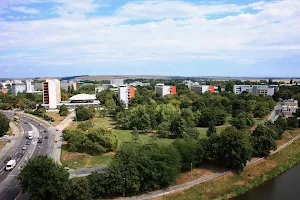 Slovak University of Agriculture image