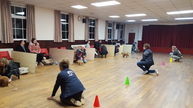 Reviews of Pawsitive Puppy School in Maidstone - Dog trainer