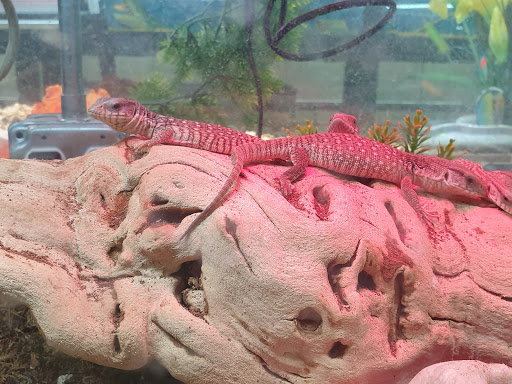 Pet Supply Store «PETNJOY - GARDENA», reviews and photos, 15515 Normandie Ave, Gardena, CA 90247, USA