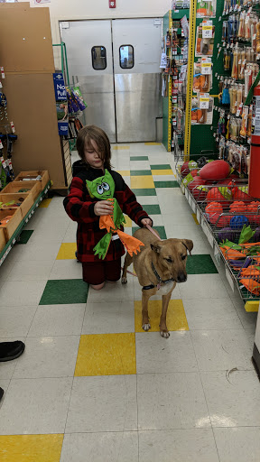 Pet Supply Store «Pet Supplies Plus», reviews and photos, 270 N Bolingbrook Dr, Bolingbrook, IL 60440, USA