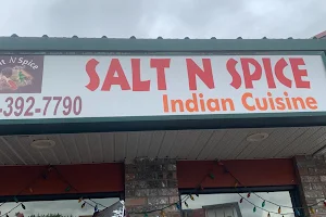 Salt N Spice Indian Cuisine image