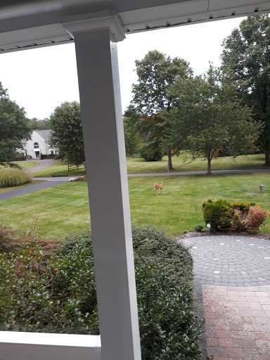 Golf Club «Stonybrook Golf Club», reviews and photos, 207 Stony Brook Rd, Hopewell, NJ 08525, USA