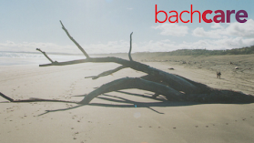 Bachcare Otaki Beach