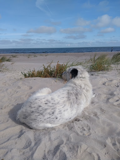 Dr. med. vet. W. Jehle, Fachtierärztin für Klein- und Heimtiere unter Görwihl, Baden Württemberg