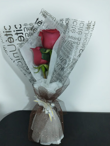 Opinii despre OTEAKI GARDEN APAPACHOS FLORERIA în Calleria - Floristería