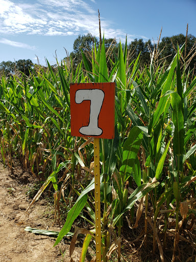 Tourist Attraction «Cajun Country Corn», reviews and photos, 40833 LA-16, Amite City, LA 70422, USA