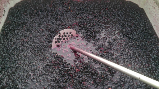 Winery «Zoll Cellars - Winery», reviews and photos, 110 Old Mill Rd, Shrewsbury, MA 01545, USA