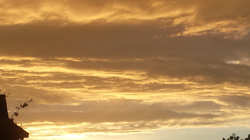 Supermarket «Roche Bros. Mashpee», reviews and photos, 11 Commercial St, Mashpee, MA 02649, USA