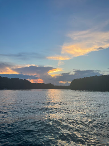 Insurance Agency «State Farm: Trey Rhodes», reviews and photos